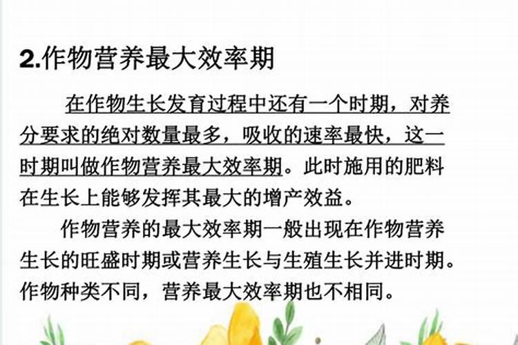 庭院植物栽植施肥追肥要注意什么
