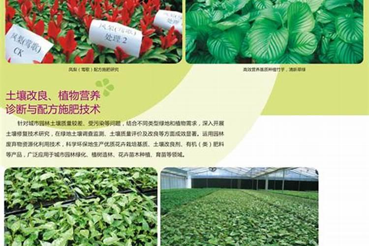 庭院植物栽植施肥追肥要注意什么