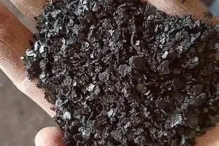 金桔的养殖方法和注意事项有哪些？
