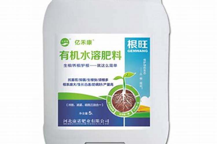 芹菜浇水冲施什么肥料