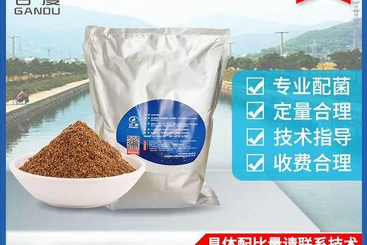 硝化细菌能在鱼缸里有鱼的时候添加吗？