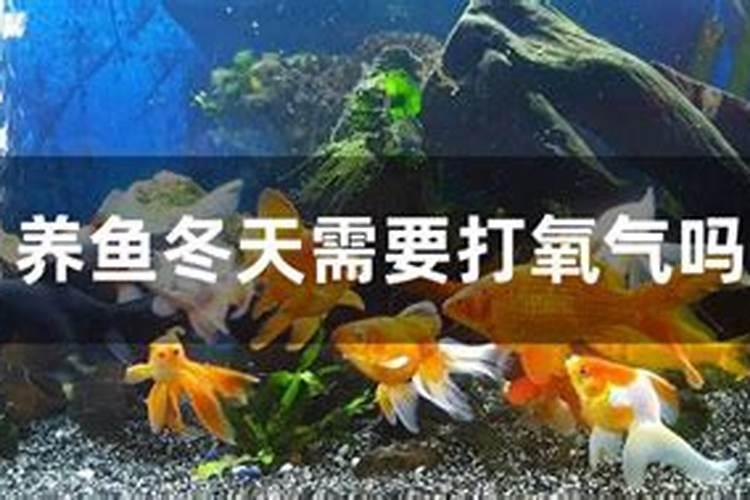 鱼塘里可以撒化肥吗