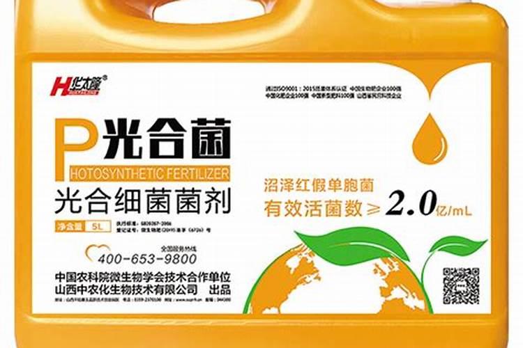 光合细菌瘦水还是肥水,光合细菌和EM菌能在一起使用吗