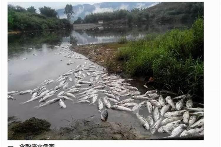 国内最好的水溶肥厂家？