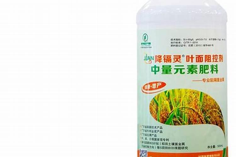 硅肥在不同植物上的应用