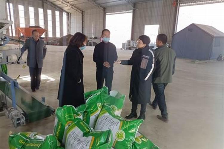 氮肥为主的有机肥是什么肥料