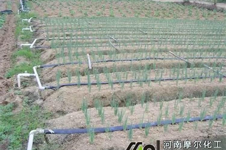 大量元素水溶肥执行标准