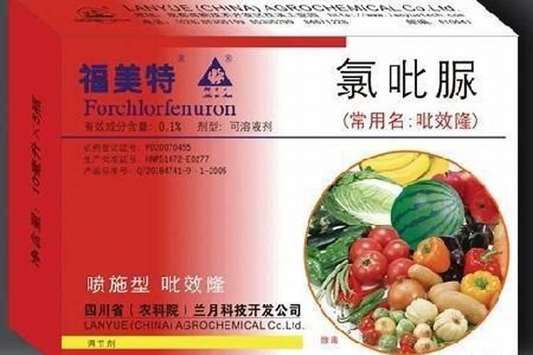 白糖加硼喷西瓜可以起到授粉作用吗？