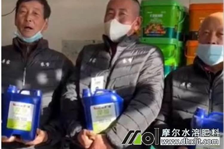 八月份苹果树下什么肥？水溶肥好,还是开沟下复合肥