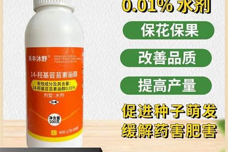 上海绿泽芸乐收厂是正牌吗