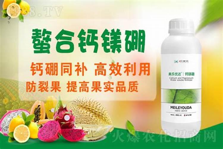 氮肥中的什么