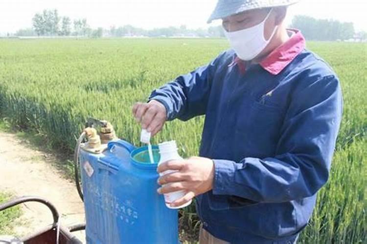 叶面肥和杀菌剂能混用吗 叶面肥和杀菌剂使用注意事项