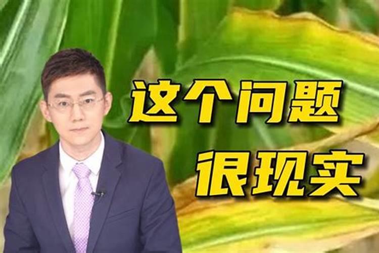 怎样简单辨别钾肥的真假与好坏？