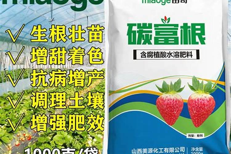 太阳花肥料施用应该注意哪些问题？