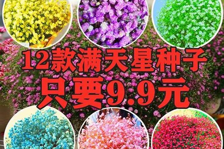 豇豆叶子发黄怎么办