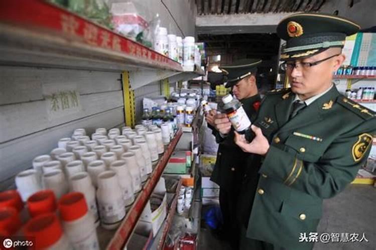 果树涂白直接用石灰水行不？