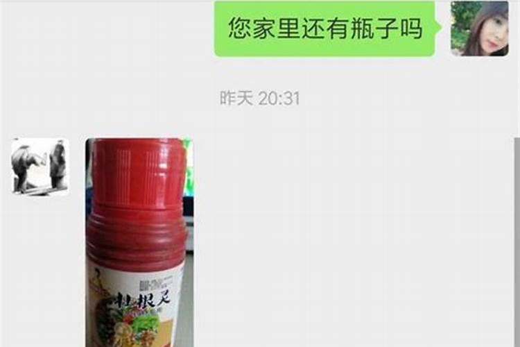 怎样种三七:三七种植与管理技术
