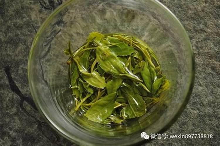 柠檬树能不能嫁接丑柑？