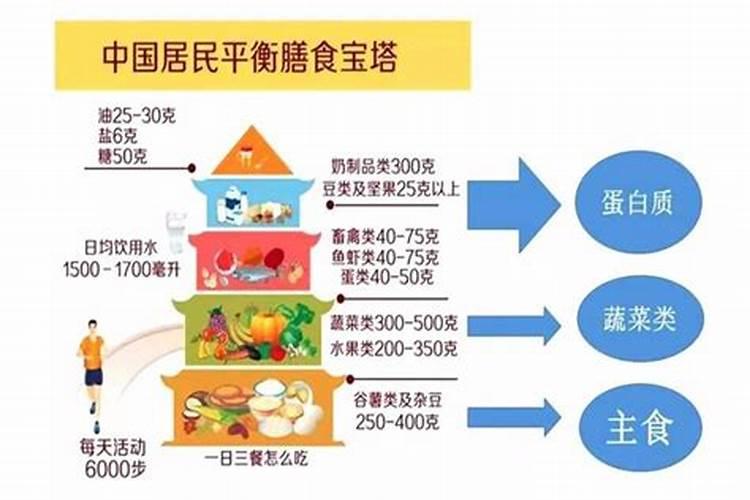 鱼的蛋白质含量高吗