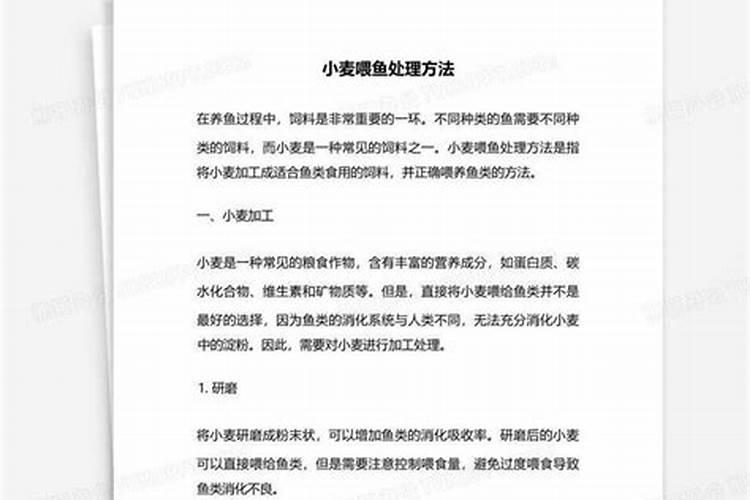 小麦如何喂鱼
