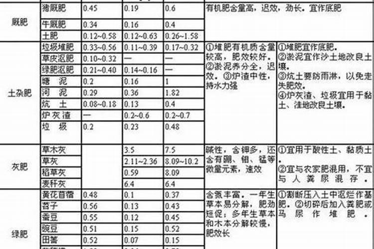 西洋海笋怎么种