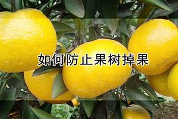 做红烧肉要不要放八角呢？
