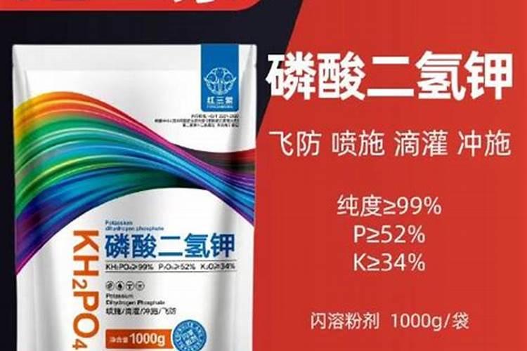 紫花苜蓿初期施什么肥料花卉百科
