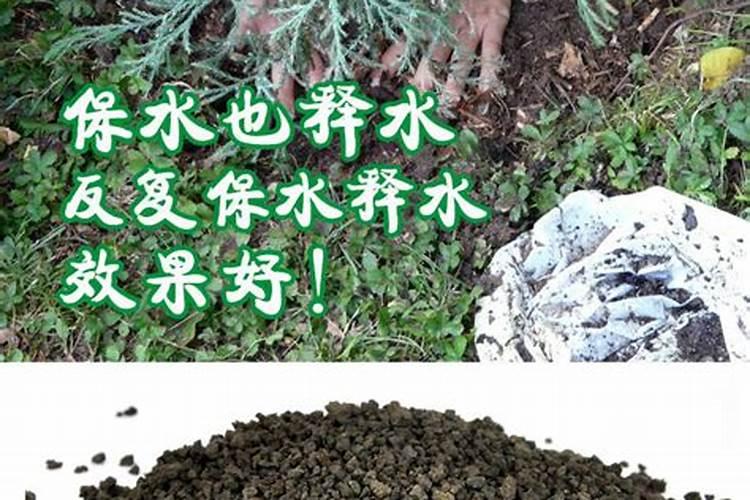 中国最好的叶面肥