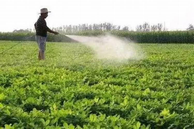 氮肥有哪几种叶面肥为氮肥