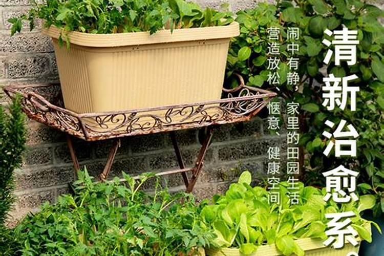 家庭养花用什么肥料好