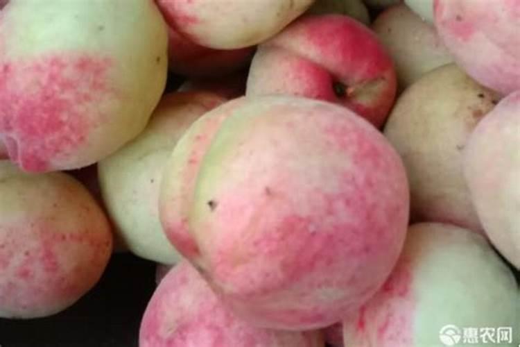 含氮的肥料是20好还是30好？
