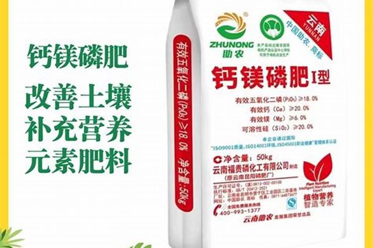 钾肥价格多少钱一吨
