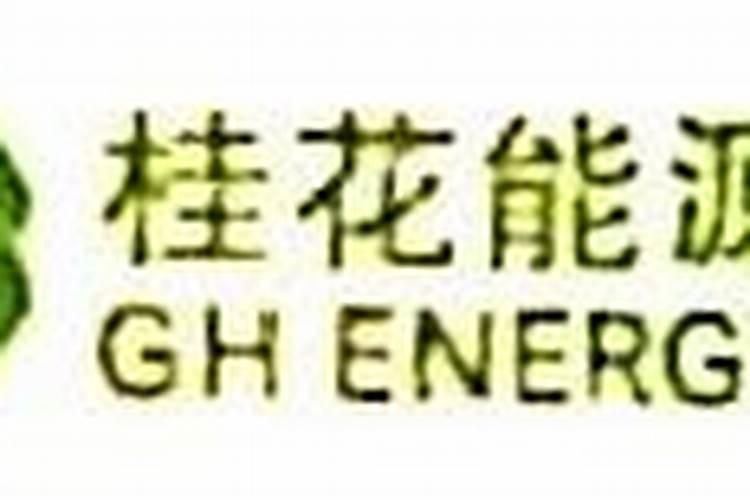 桂花树的资料