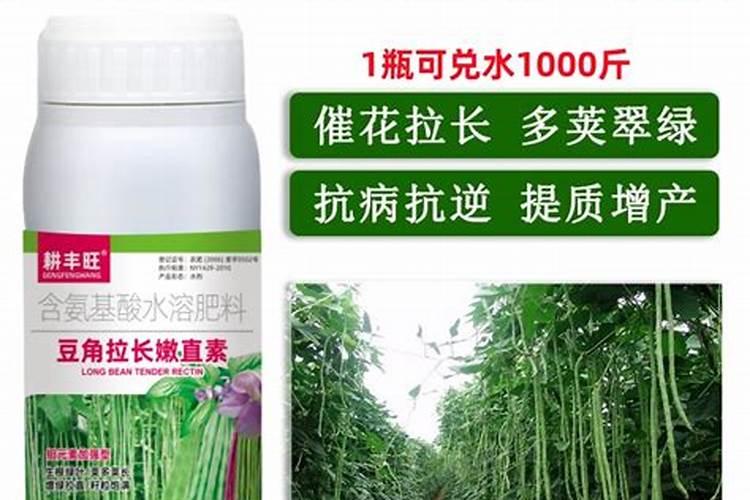 豆角开花期打什么叶面肥