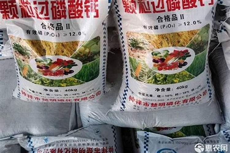 过磷酸钙对果树的作用