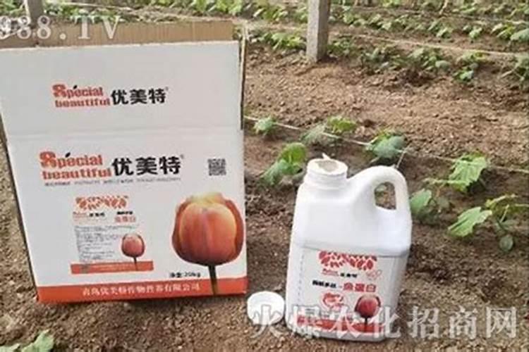 如何养富士果树结果多