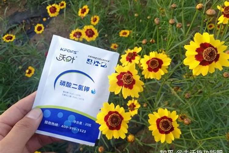 什么植物不能用磷酸二氢钾？