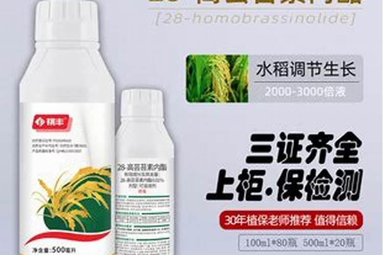 叶面肥芸苔素的功效
