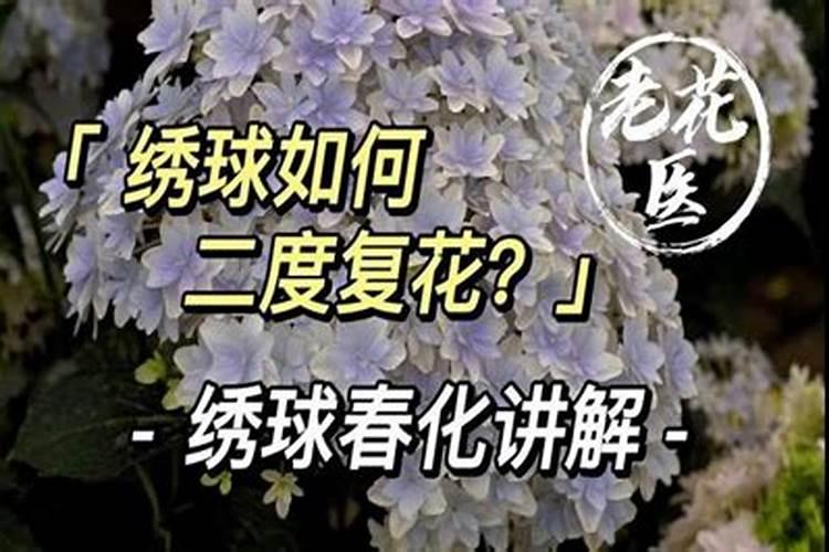 果树生根促根用什么效果最好？