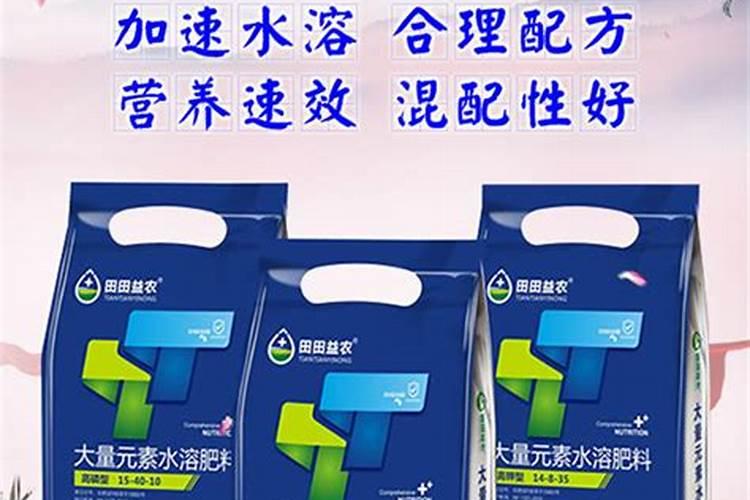 盆栽石斛兰花的叶面肥用那种好