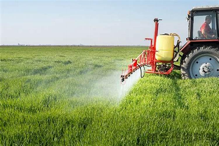 水溶肥兑水了可以放几天,一斤水溶肥兑多少水合适