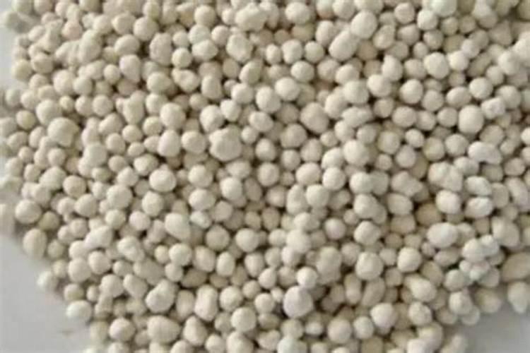 新碧小蓝帽好用吗？