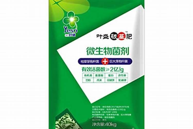 水稻施用叶面肥的重要性,你知道么