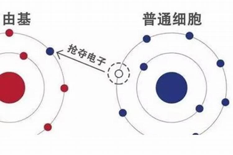 室内盆栽什么植物最好