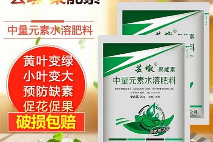 用什么肥好 杜鹃施肥方法