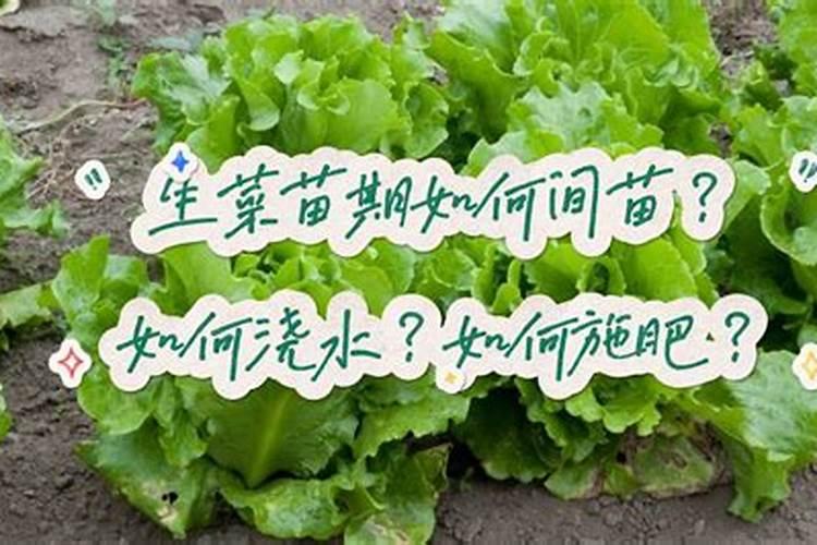 养花什么时候施氮肥(给花施氮肥比例是多少)