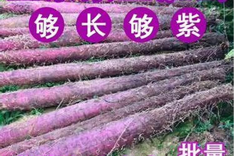 呙笋用什么作叶面肥最好效果最快 莴笋长势好空心少用什么叶面肥比较好...