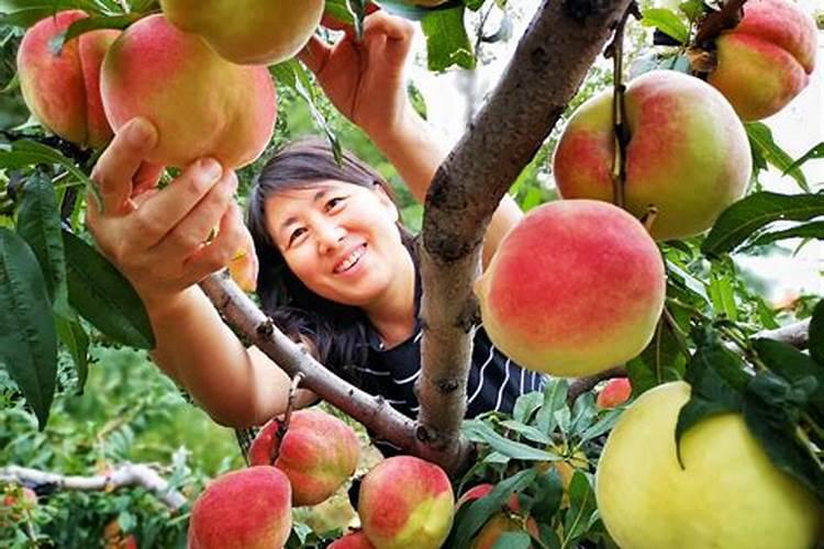 碱性锌锰电池性能和用途