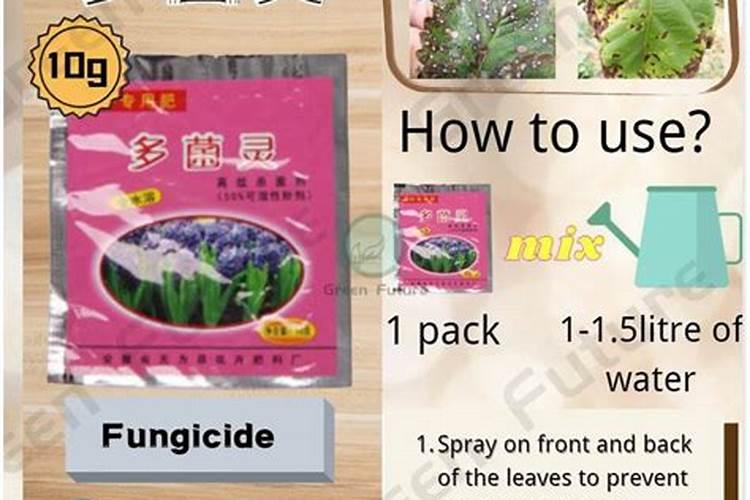 插枝植物未生根能喷洒叶面肥吗？扦插苗未生根可喷叶面肥