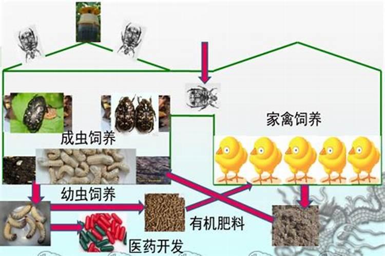 长期施用硫酸钾肥料影响土壤酸碱性吗？